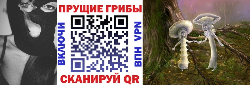 как найти закладки  Советский  Галлюциногенные грибы GOLDEN TEACHER 